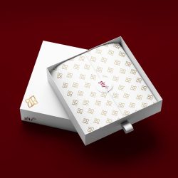 avantemidia_1742930511_3596284236246250009_59876833760